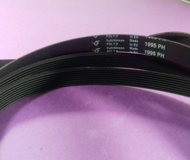 Remen susare 1995 ph Hutchinson