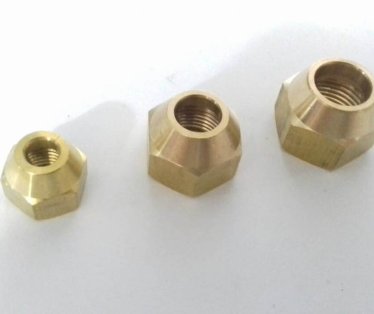 Holender (matica) fi16